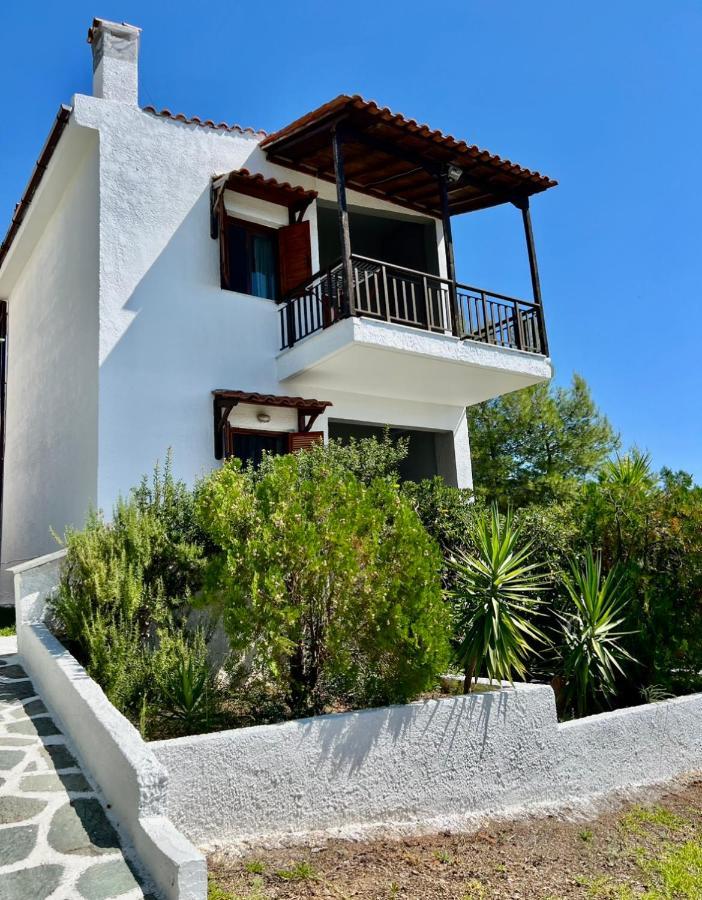 Summer Luxury Villa With Sea View Metamórfoszi Kültér fotó