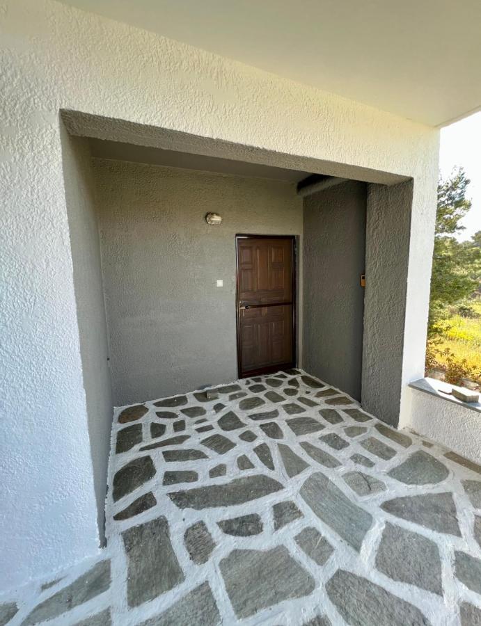 Summer Luxury Villa With Sea View Metamórfoszi Kültér fotó