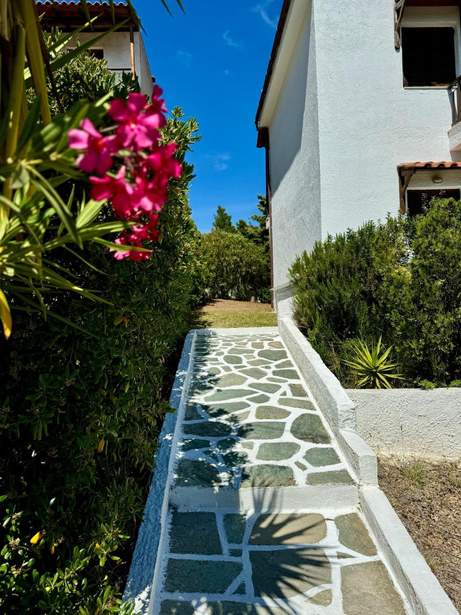 Summer Luxury Villa With Sea View Metamórfoszi Kültér fotó