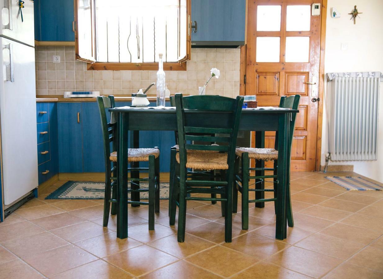 Summer Luxury Villa With Sea View Metamórfoszi Kültér fotó