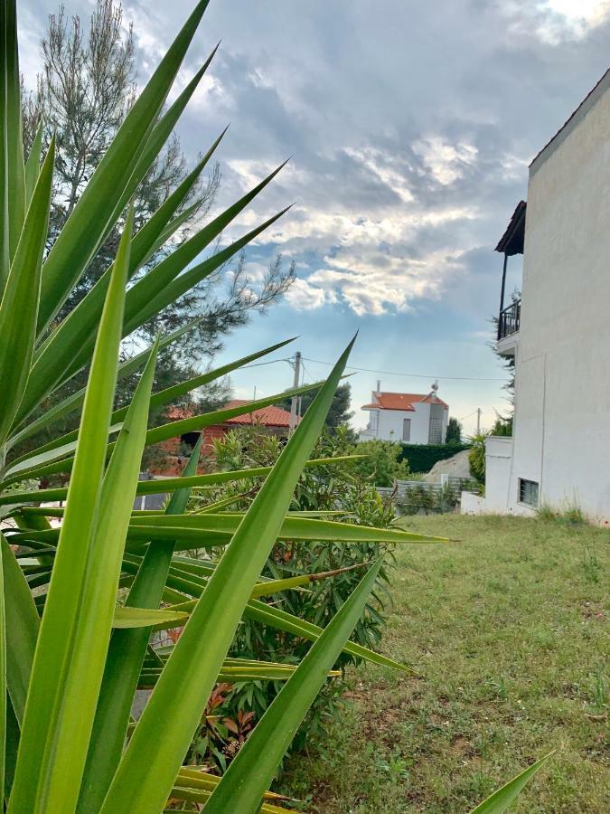 Summer Luxury Villa With Sea View Metamórfoszi Kültér fotó