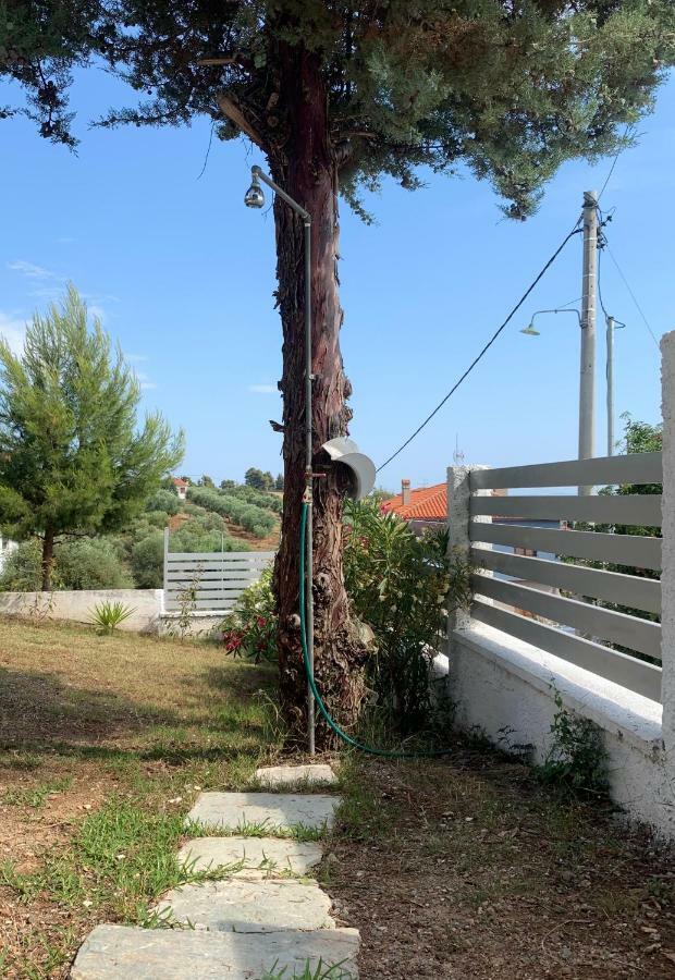Summer Luxury Villa With Sea View Metamórfoszi Kültér fotó